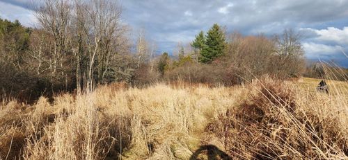 2051 Sheldon Woods Rd, Fairfield, VT, 05455-8407 | Card Image