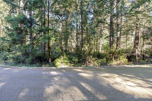 11303 113th Street Ct, Anderson Island, WA, 98303 | Card Image