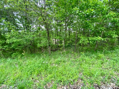 77 Lafayette Road, Caneyville, KY, 42721 | Card Image