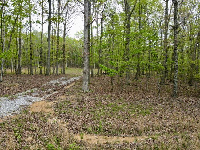 0 Deerwood Dr, Home with 0 bedrooms, 0 bathrooms and null parking in Sewanee TN | Image 12