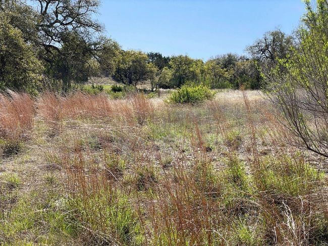 View of landscape featuring a wooded view | Image 11