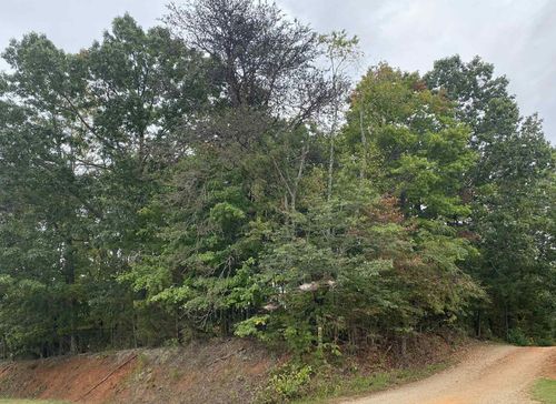 4603 Philpott Dr, Bassett, VA, 24055-4774 | Card Image