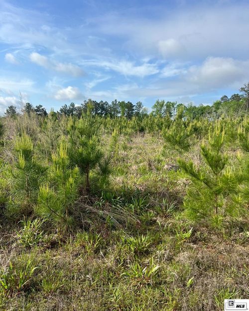 000 Century Loop, Chatham, LA, 71226 | Card Image