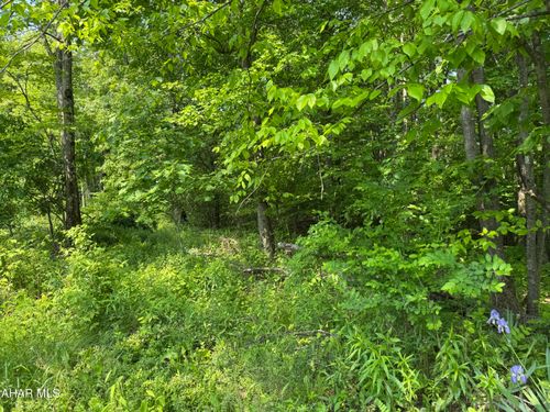 Off Hillside Dr, Ashville, PA, 16613 | Card Image
