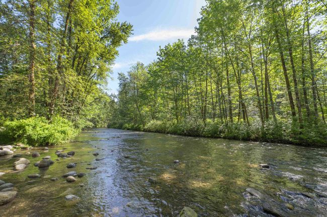 Water view with a forest | Image 38
