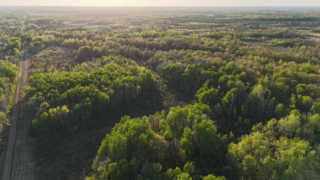 TBD 180 Th Ln, Home with 0 bedrooms, 0 bathrooms and null parking in Mc Grath MN | Image 8