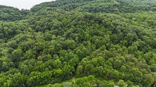 5 Lots Fortunato Drive, Baneberry, TN, 37890 | Card Image