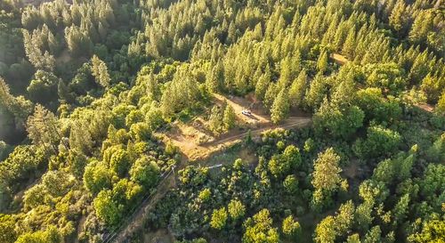 2676 Silver Mountain Rd, Rail Road Flat, CA, 95248 | Card Image