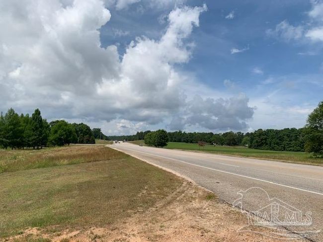 19600 Highway 43, Home with 0 bedrooms, 0 bathrooms and null parking in Grove Hill AL | Image 13