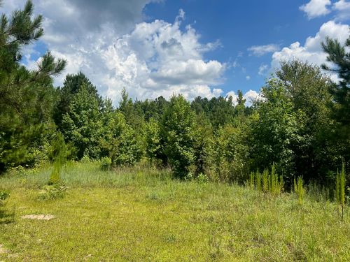 0 Thomson Hwy, Warrenton, GA, 30828 | Card Image