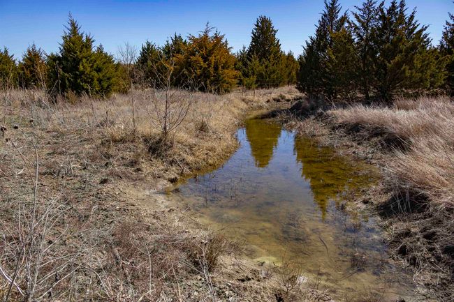 Property view of water featuring a wooded view | Image 11