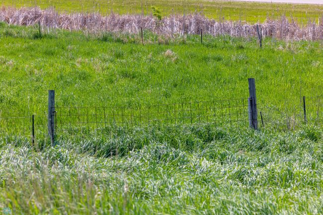 Amdak__Fosston MN - Land_0015.jpg | Image 16