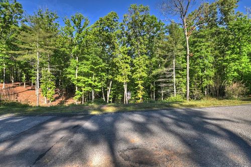 Lot 41 Ridge St, Morganton, GA, 30560-3599 | Card Image