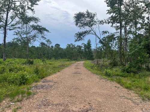 TBD Highway 84, Bismarck, AR, 71929 | Card Image