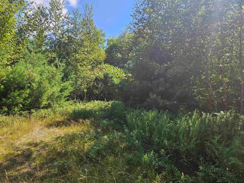 Lot 3.3 Off Parker Road, Lisbon, NH, 03585 | Card Image
