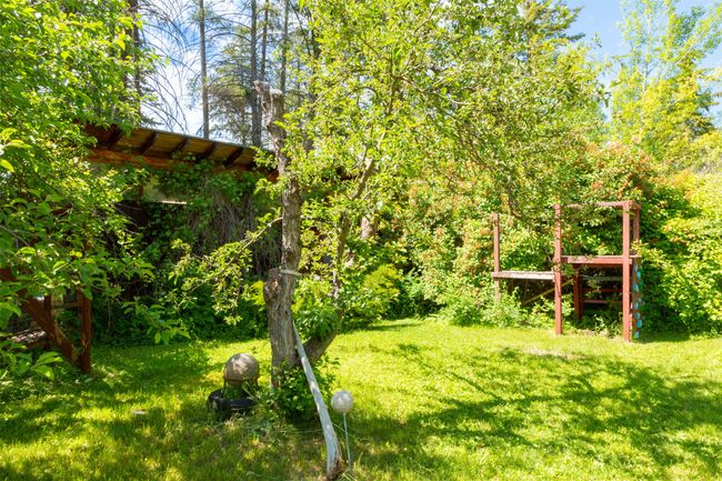 View of green lawn | Image 46
