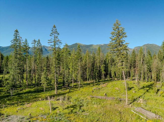 Mountain view featuring a heavily wooded area | Image 73