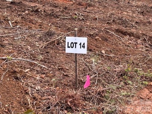 14-V/L Lotus Drive, Nebo, NC, 28761 | Card Image