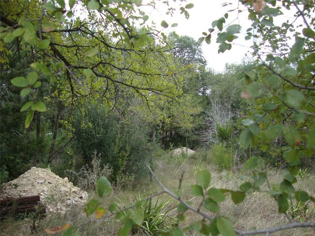 View of nature | Image 5
