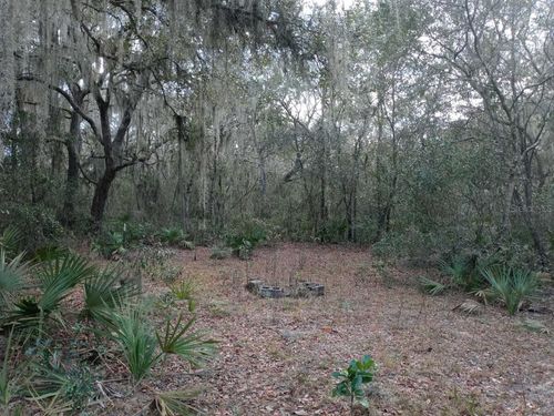 00000 Ne 213th Pl, FORT MC COY, FL, 32134 | Card Image