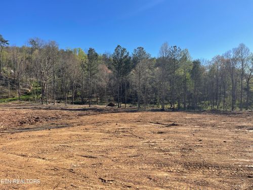 0.84 Robbies Ln, Decatur, TN, 37322 | Card Image