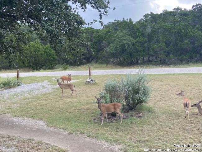 1049 Summit Ridge Dr, House other with 2 bedrooms, 2 bathrooms and null parking in New Braunfels TX | Image 19