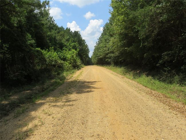 00 Highway 371, Home with 0 bedrooms, 0 bathrooms and null parking in Rosston AR | Image 16