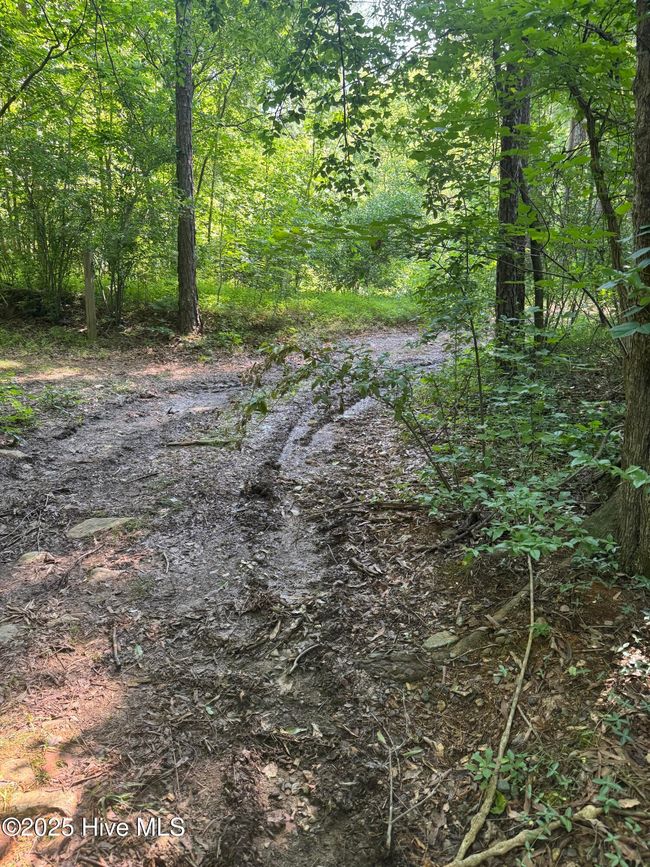 00 Nc Highway 902, Home with 0 bedrooms, 0 bathrooms and null parking in Pittsboro NC | Image 4
