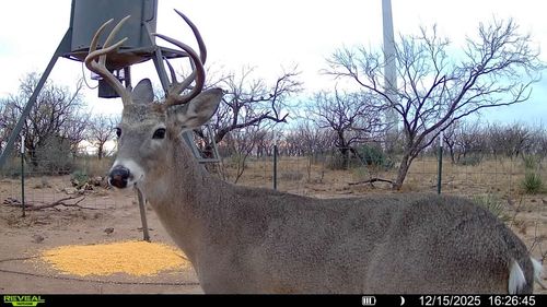 CR 450, No City, TX, 79526 | Card Image