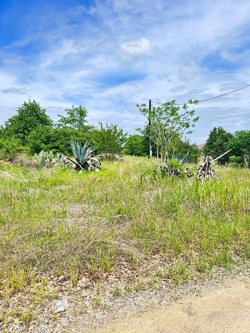 126 Wild Bird Loop, Smithville, TX, 78957-5091 | Card Image