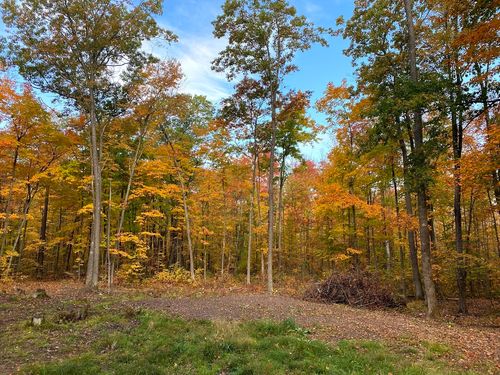 15846 W Pank Road, Stone Lake, WI, 54876 | Card Image