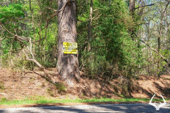 2 E Fm 323, Home with 0 bedrooms, 0 bathrooms and null parking in Palestine TX | Image 4