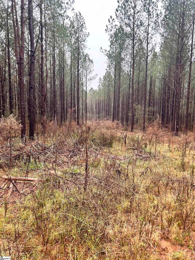 00 Columbia Rd, Home with 0 bedrooms, 0 bathrooms and null parking in Edgefield SC | Image 9