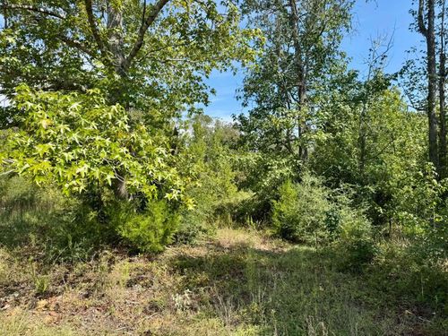 Tract 1 Private Rd 8385, Spurger, TX, 77660-9999 | Card Image