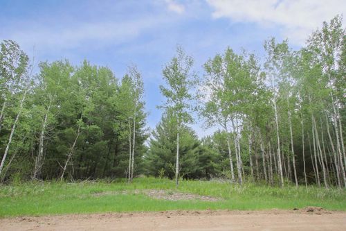 TBD Portage Cir, Browerville, MN, 56438 | Card Image