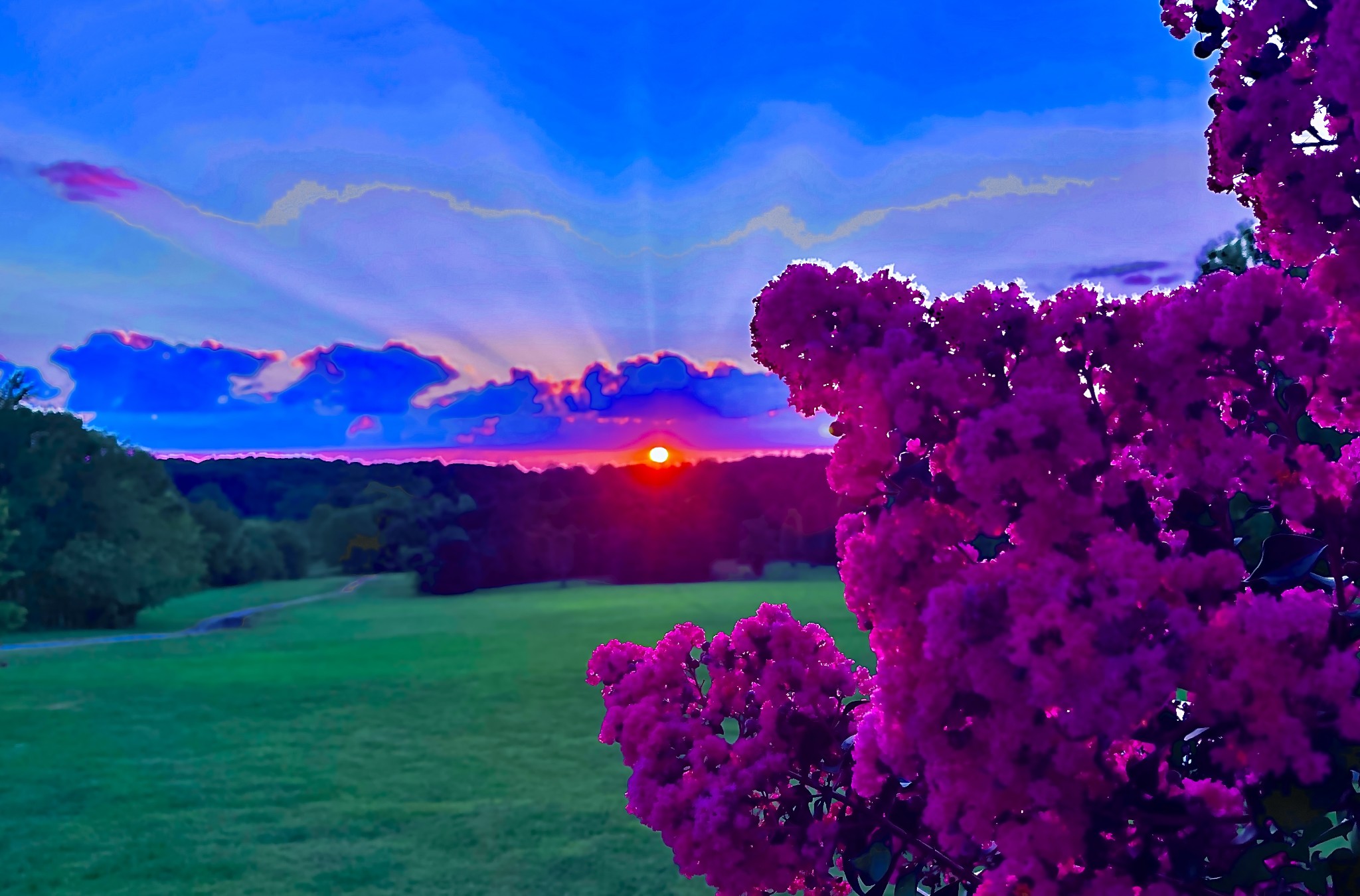 Milton Rd, Milton, TN 37118