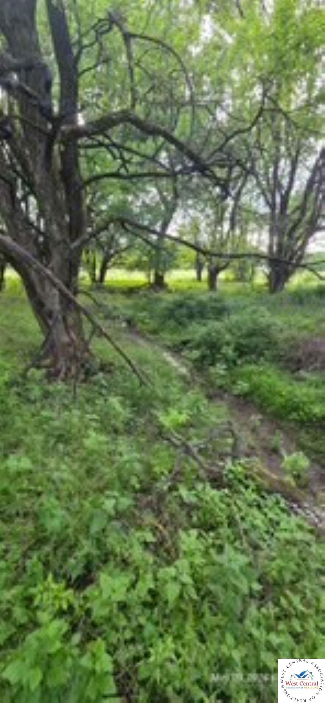Land in Clinton 4