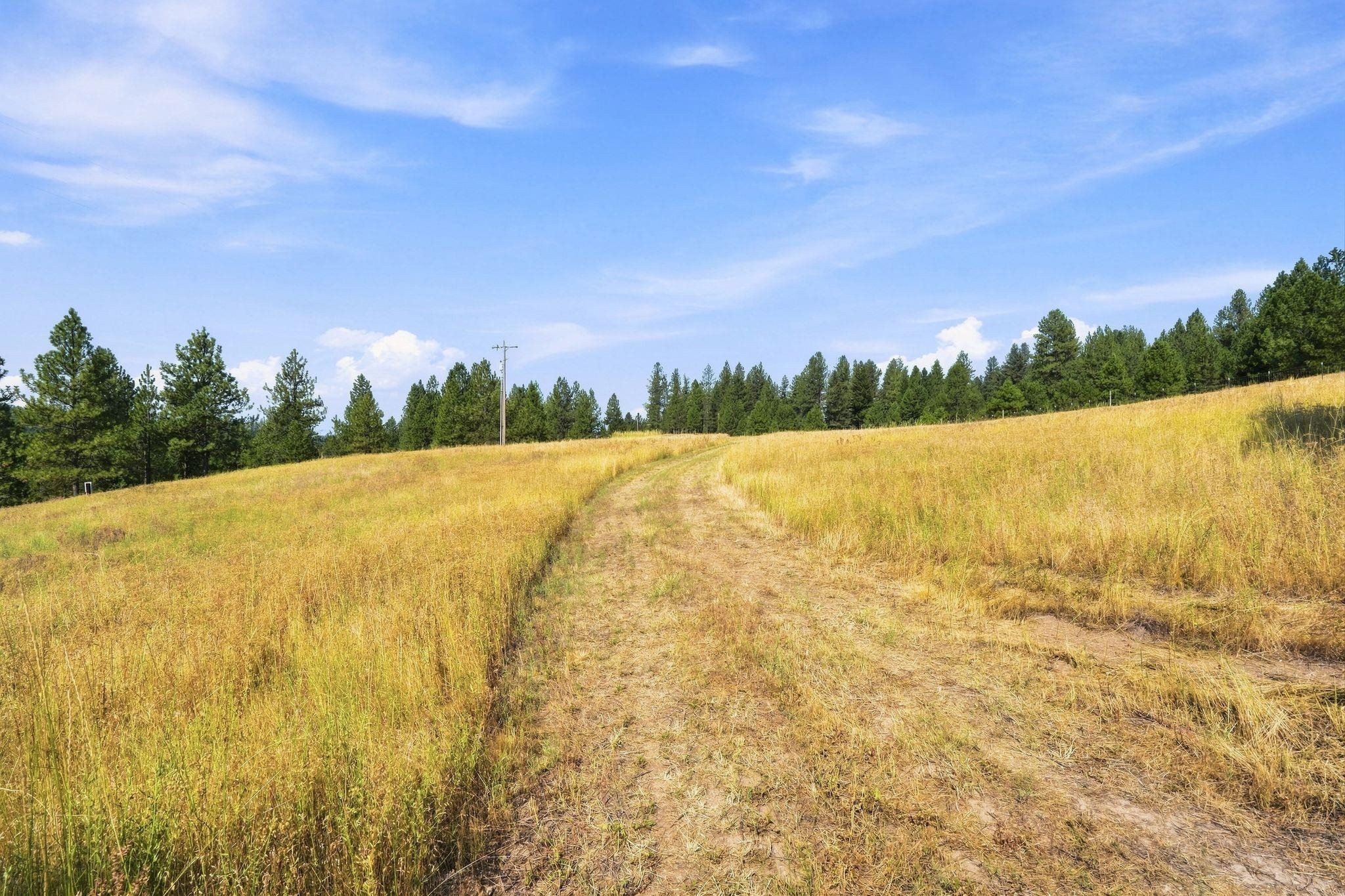 Land in Chattaroy 3