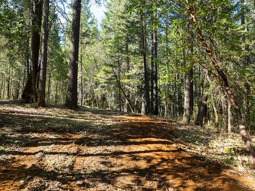 12060 Redwood Hwy, Wilderville, OR, 97543-9085 | Card Image