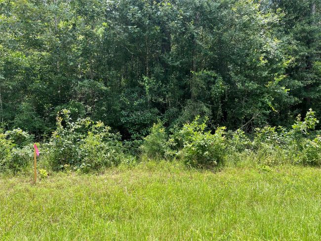 25416 Cambridge Blvd, Home with 0 bedrooms, 0 bathrooms and null parking in New Caney TX | Image 5