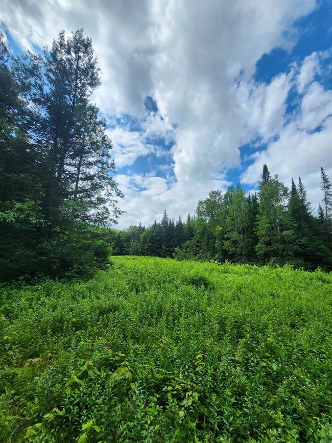 1602 E Haven Rd, House other with 3 bedrooms, 1 bathrooms and null parking in Island Pond VT | Image 58