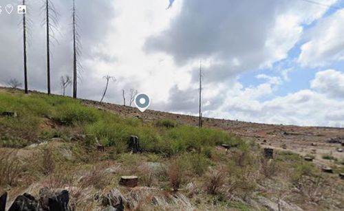 7450 Winding Way, Grizzly Flats, CA, 95636-9789 | Card Image