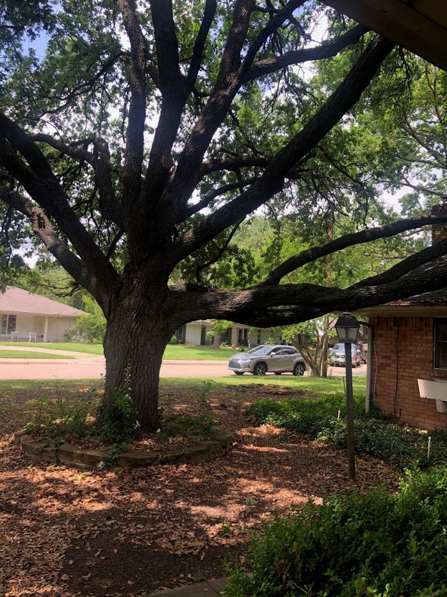 10427 Carry Back Pl, House other with 3 bedrooms, 2 bathrooms and null parking in Dallas TX | Image 4