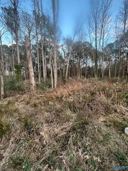 8 Junkins Ln, Guntersville, AL, 35976-6734 | Card Image