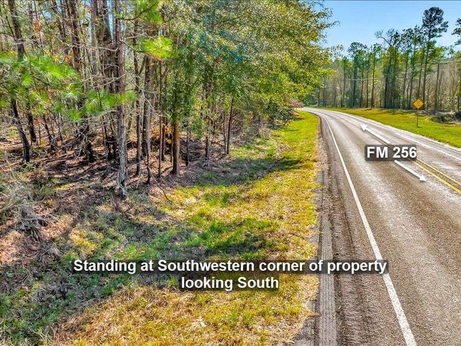 This photo showcases a serene wooded area with tall, slender trees, providing a natural, tranquil setting. The ground is covered with light vegetation, perfectl for privacy and a rustic, outdoor lifestyle. Perfect for nature lovers seeking a peaceful retreat. | Image 21