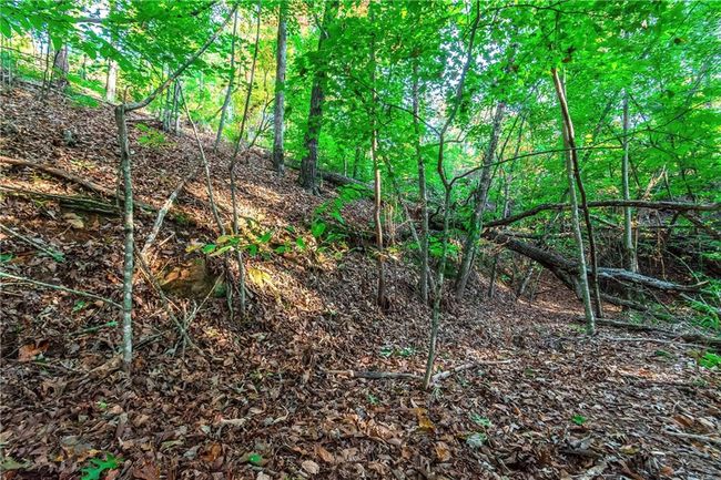 50 Jakes Landing Way S, Home with 0 bedrooms, 0 bathrooms and null parking in Ellijay GA | Image 33