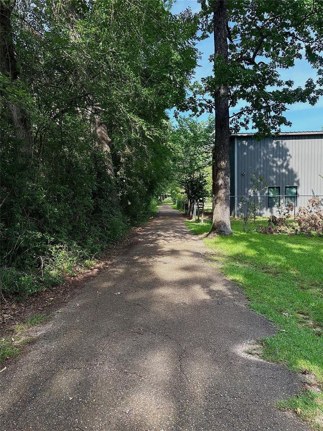 Back of the private driveway with plenty of privacy | Image 6