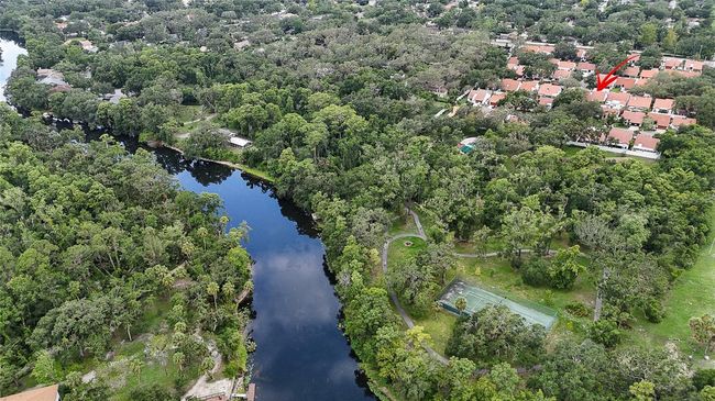 Hillsborough river | Image 36