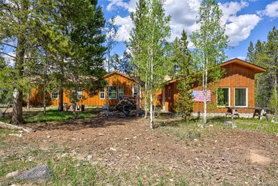 Scattered Aspens | Image 3