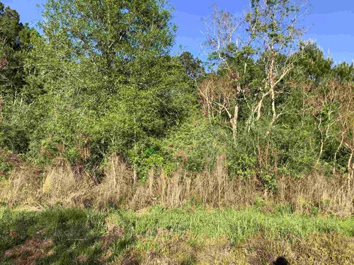 7118 County Road 701, Kirbyville, TX, 75956 | Card Image